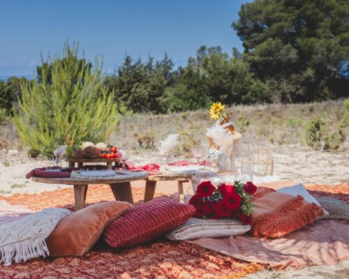 burnt orange picnic