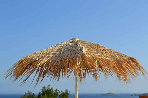 Blue Romance Picnic - Image 3