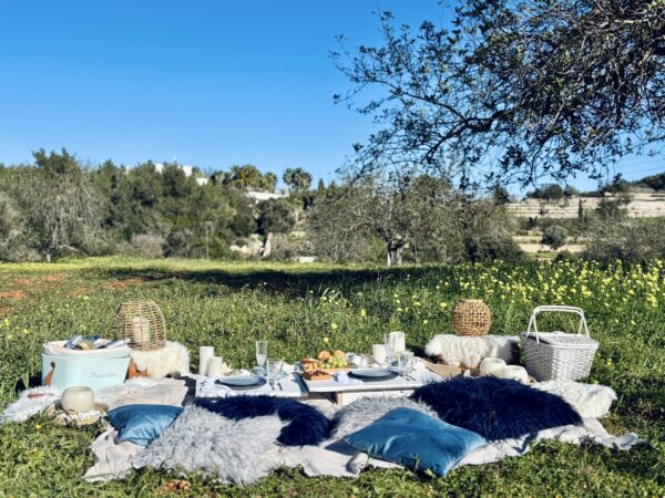 Blue Romance Picnic