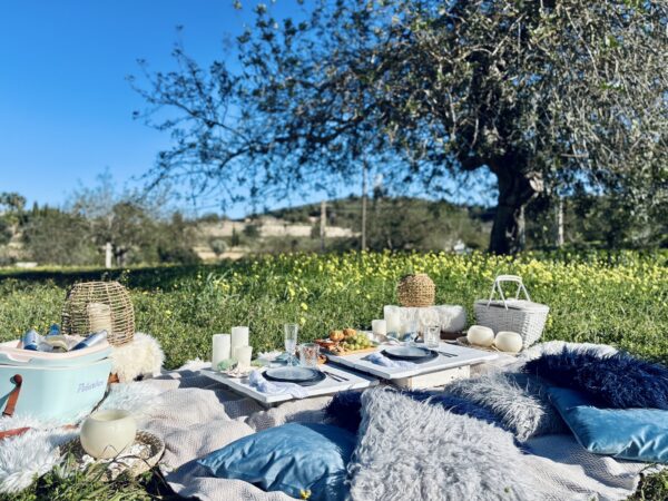 Blue Romance Picnic - Image 2
