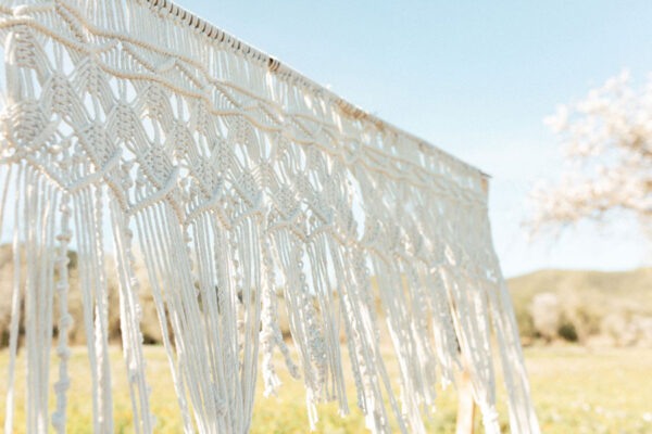 Burnt Orange Picnic - Image 4