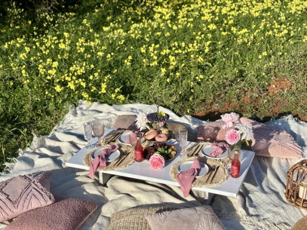 Pink Dreams Picnic - Image 2
