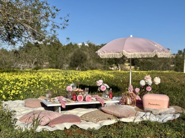 Pink Dreams Picnic