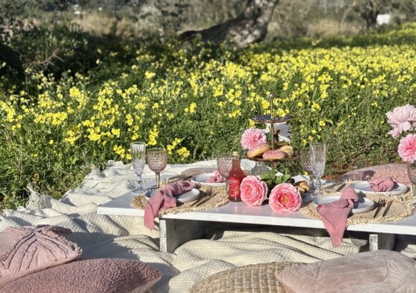 Pink Dreams Picnic - Image 3
