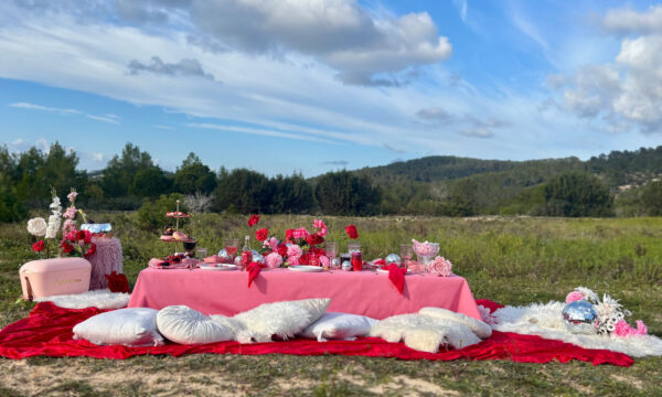 Velvet Rose (rental) - Image 2