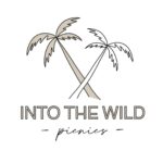 Into the Wild Picnics Ibiza